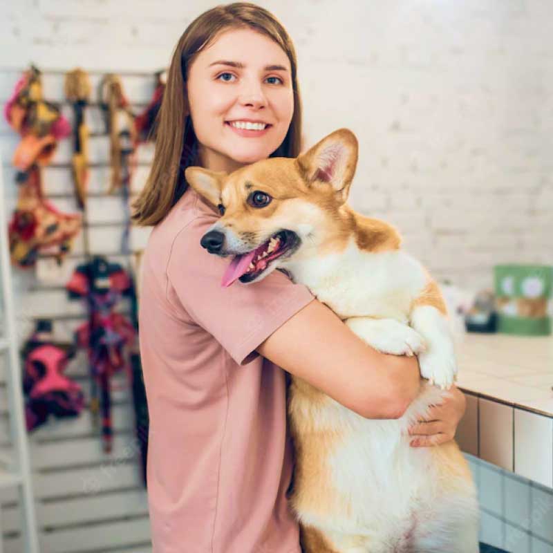 Tienda De Mascotas