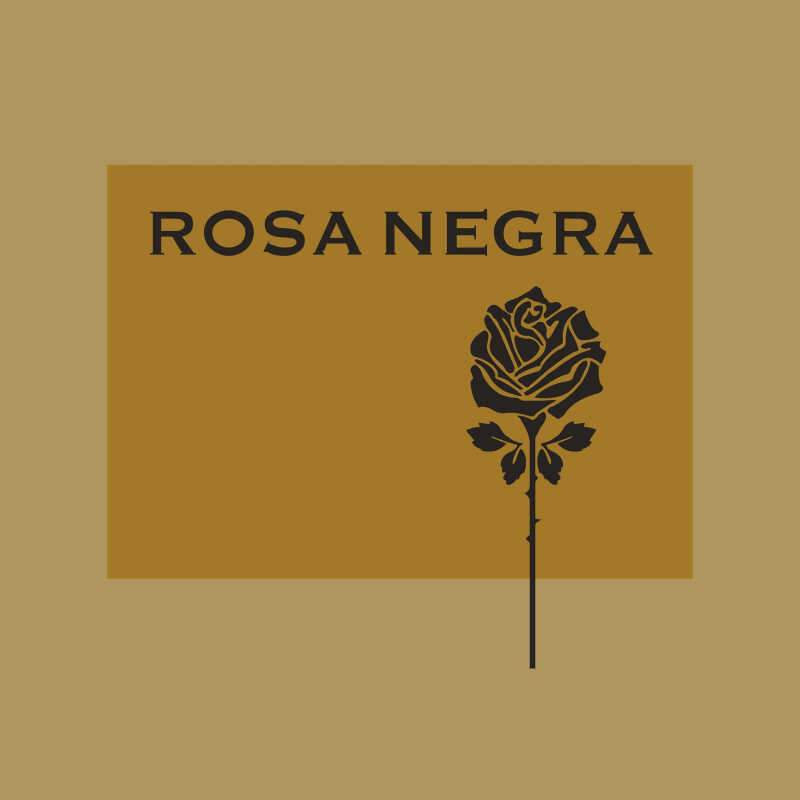 Rosa Negra