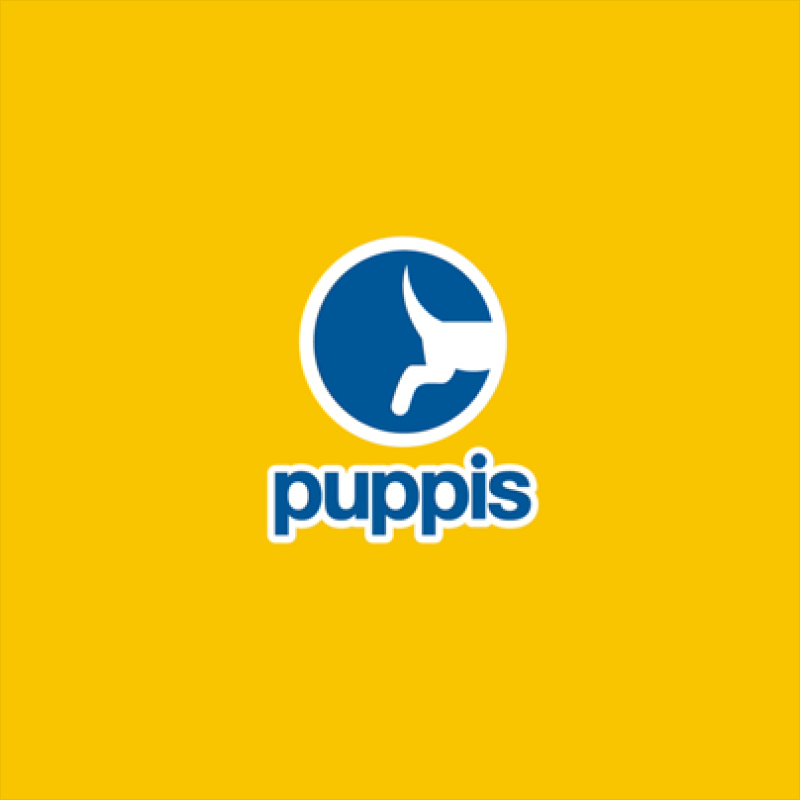 Puppis