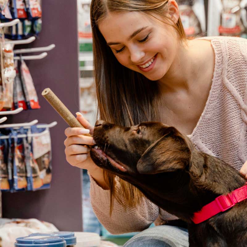 Zoocopet