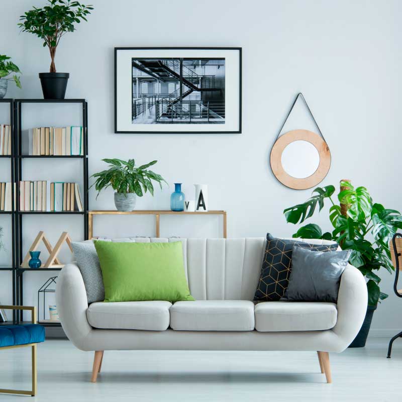 DECORACION Y JUGUETERIAS