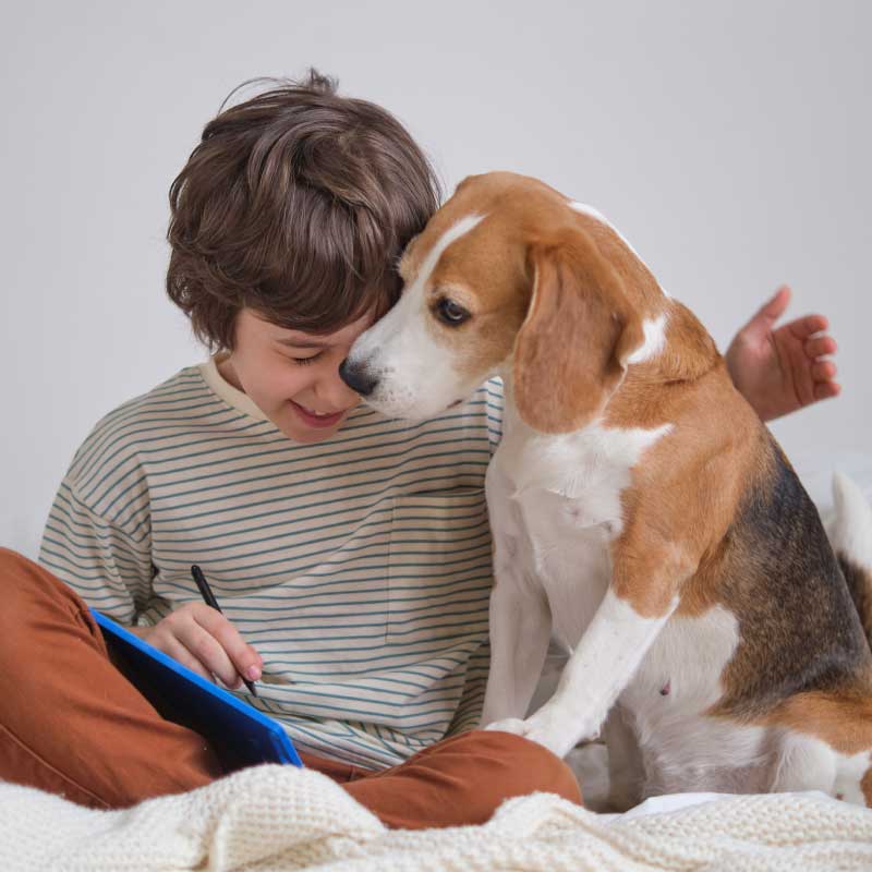Zoocopet